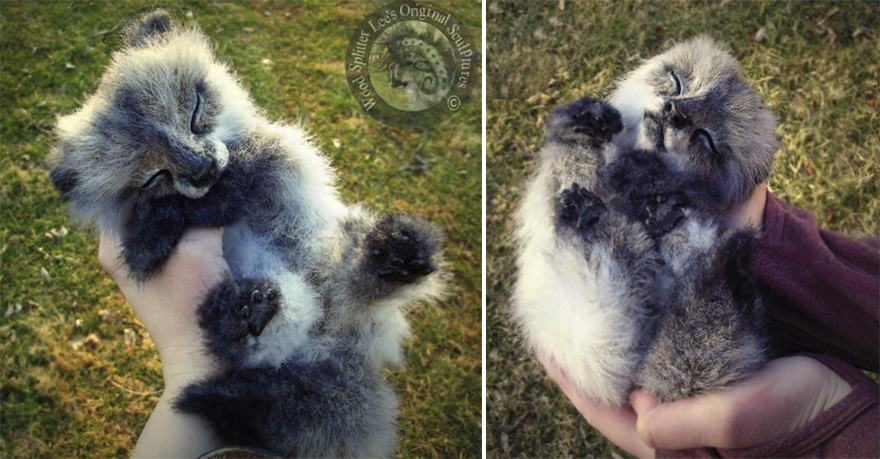 Realistic Life Sized Sleeping Wolf Pup