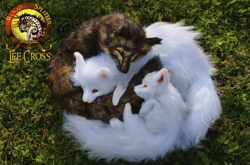 "Dustan," the Timber Fox