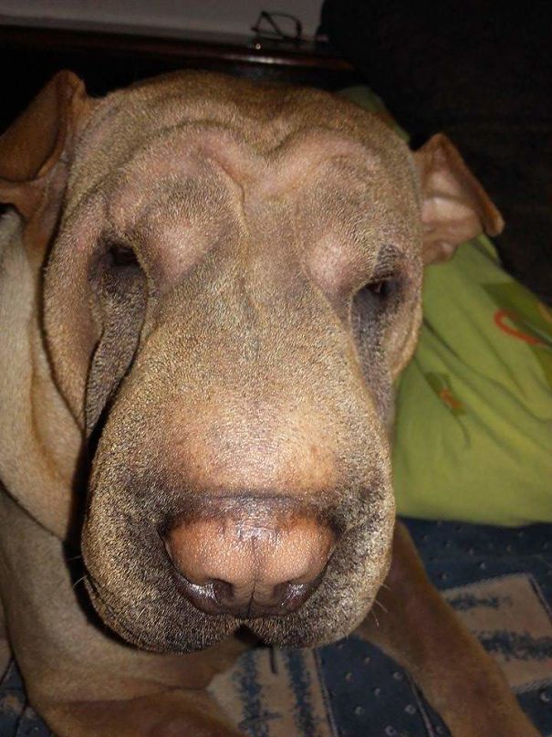 In This Picture Things Didn't Go As We Wanted, But She Is Still Our Beauty ❤❤