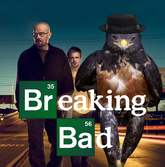 Remember My Name !!!!