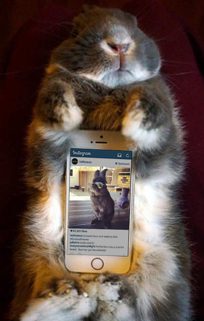 Wish I Had Sunglasses