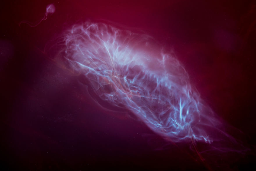 You Never Knew What Milk Poured In Black Tea Looks Like You Never Knew What Milk Poured In Black Tea Looks Like