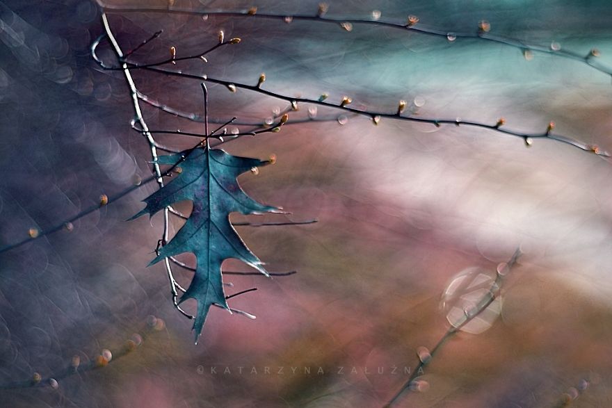 My Impressionist Photos Of Autumn In Poland My Impressionist Photos Of Autumn In Poland