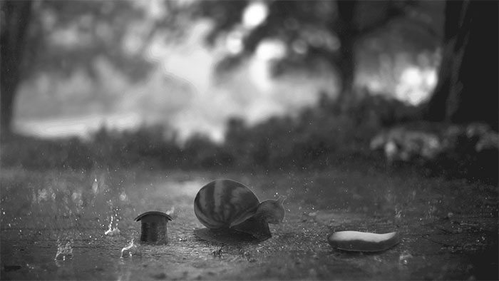 snail-eating-cucumber-photoshop-battle-4 snail-eating-cucumber-photoshop-battle-4