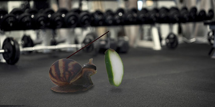 snail-eating-cucumber-photoshop-battle-5 snail-eating-cucumber-photoshop-battle-5