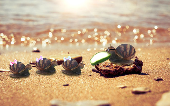 snail-eating-cucumber-photoshop-battle-6 snail-eating-cucumber-photoshop-battle-6