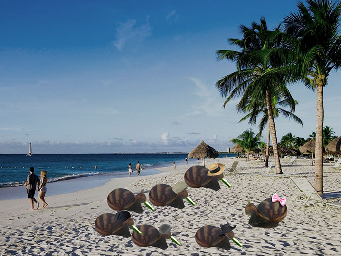 snail-eating-cucumber-photoshop-battle-8 snail-eating-cucumber-photoshop-battle-8