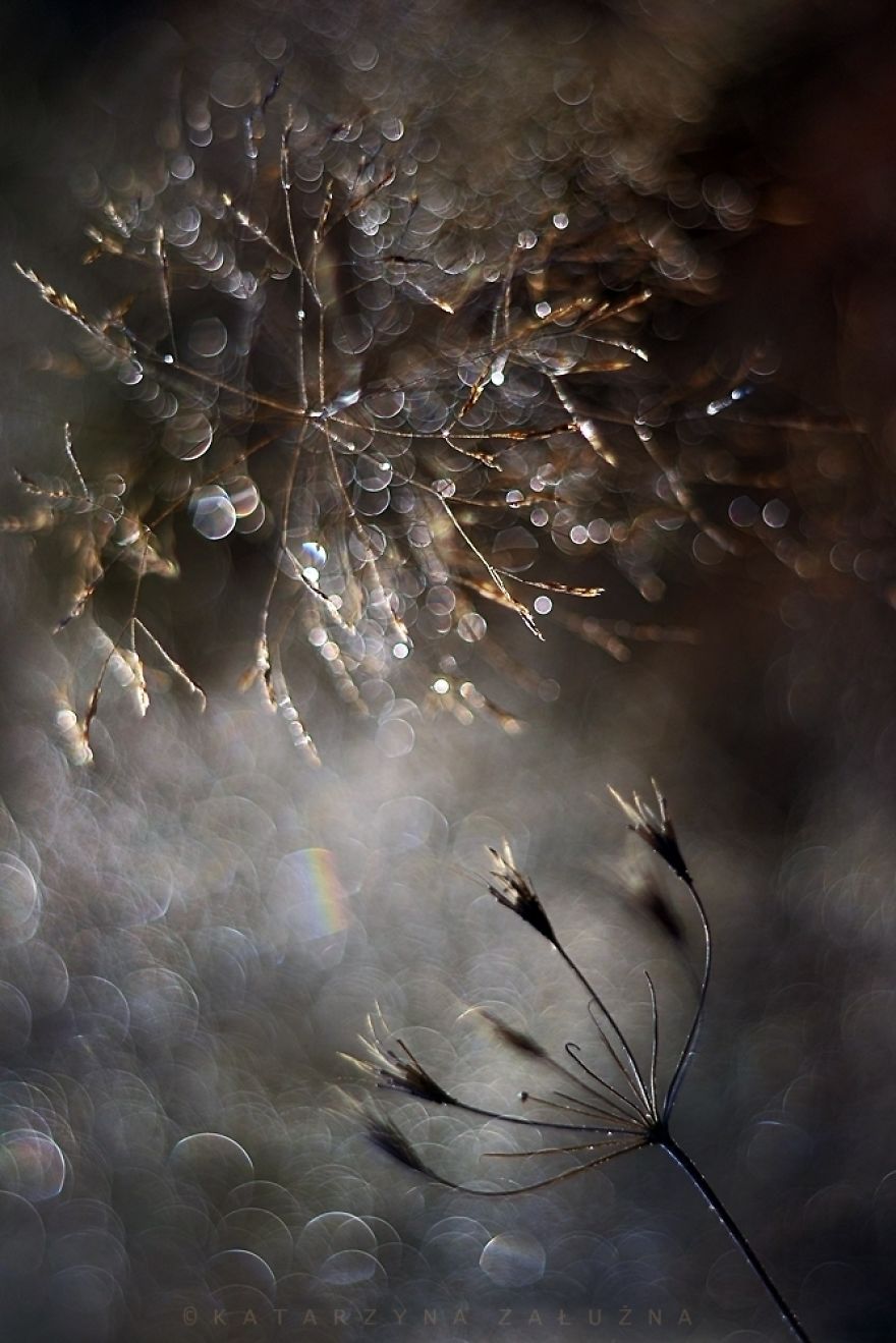 My Impressionist Photos Of Autumn In Poland My Impressionist Photos Of Autumn In Poland