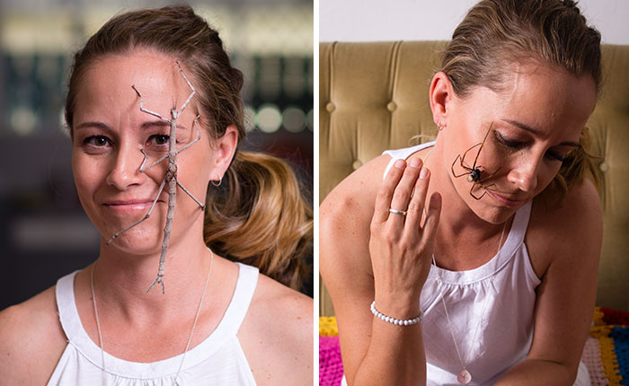 Meet The Steve Irwin Of The Spider World