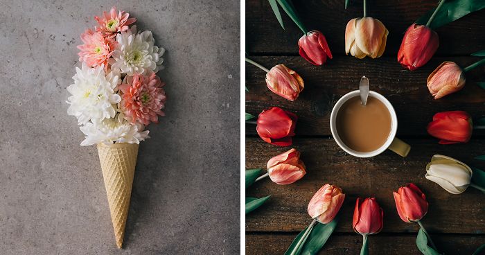 This Photographer Turns Flowers And Leaves Into Art