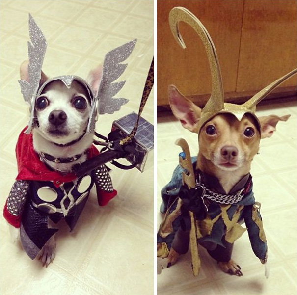 Thor And Loki