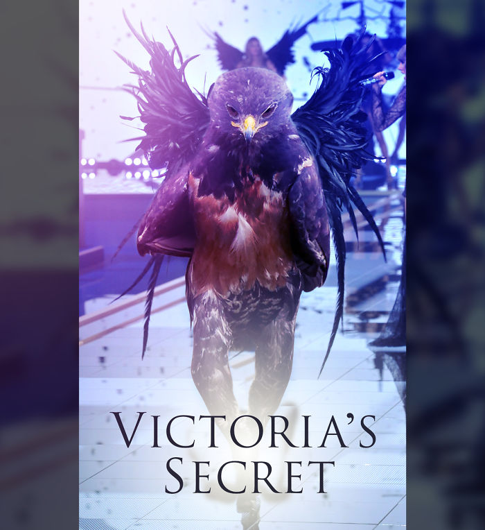 Victoria Secret 2017 Fashion Show