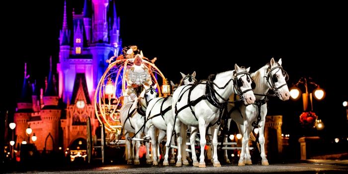 walt-disney-world-wedding-magic-kingdom-4