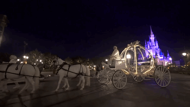 walt-disney-world-wedding-magic-kingdom-5 walt-disney-world-wedding-magic-kingdom-5