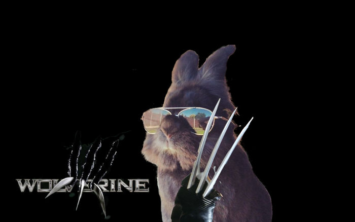 Logan Wolverine 3