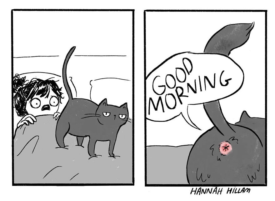 Modern-cat-lady-comics-hannah-hillam