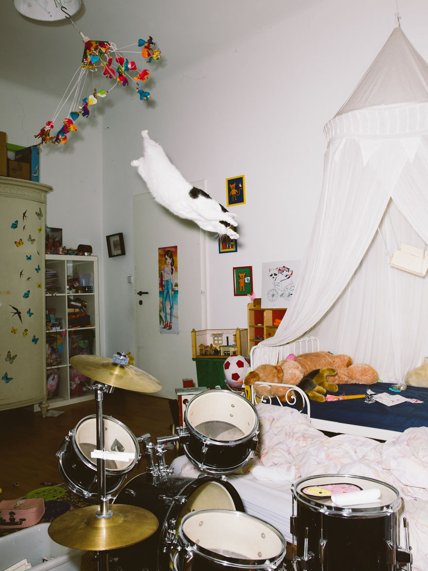 Jumping Cats By Daniel Gebhart De Koekkoek