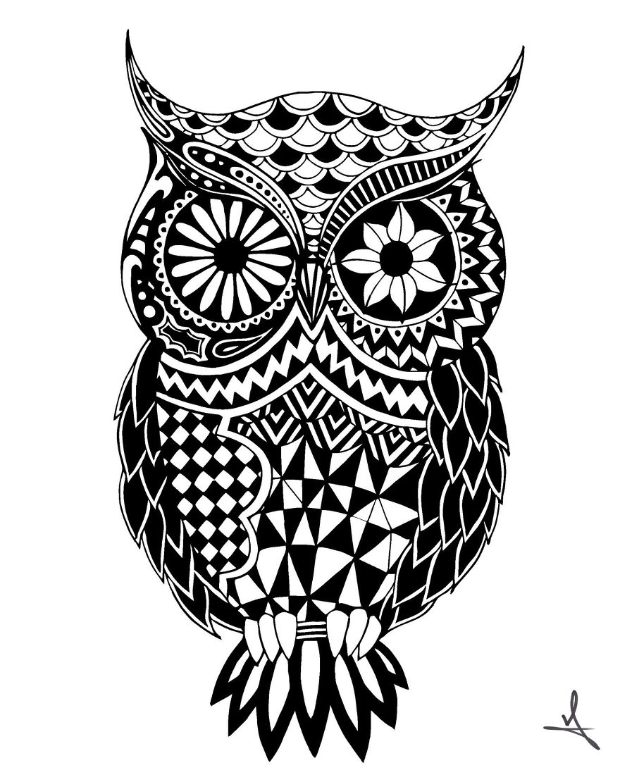 I Spend My Free Time Drawing Animals And Skulls