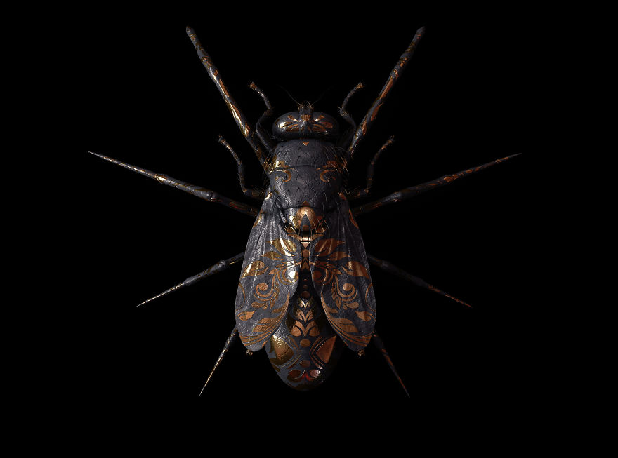 Engraved Entomology By Billelis