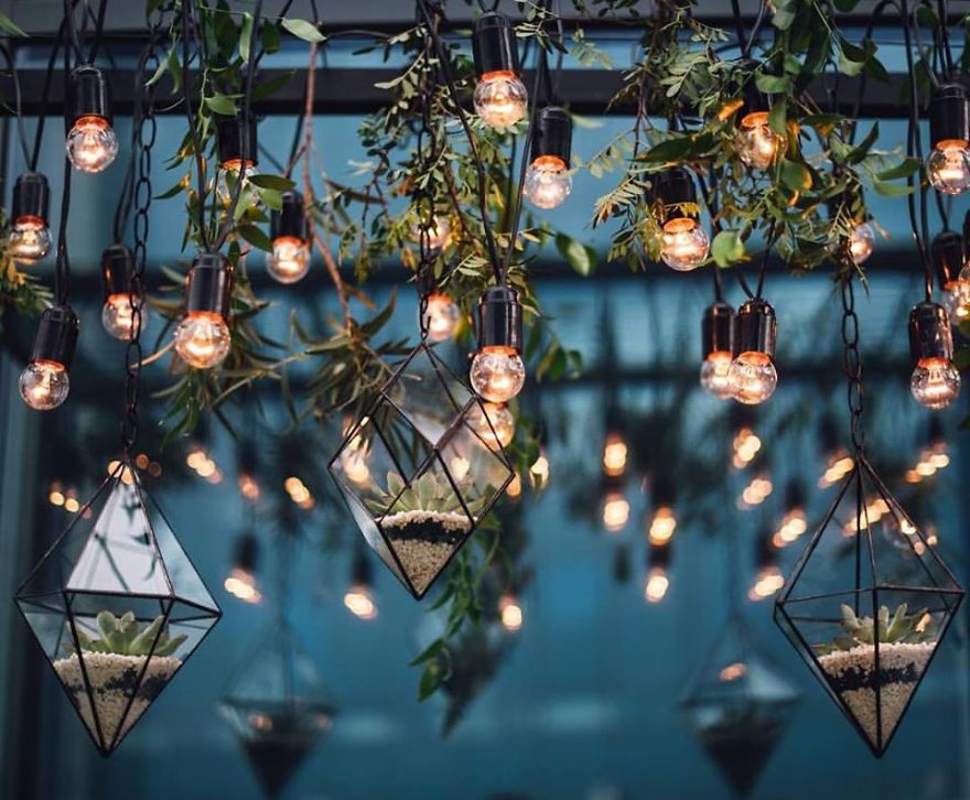 But The True Secret Lies In Their Ability To Take Beautiful Pictures!