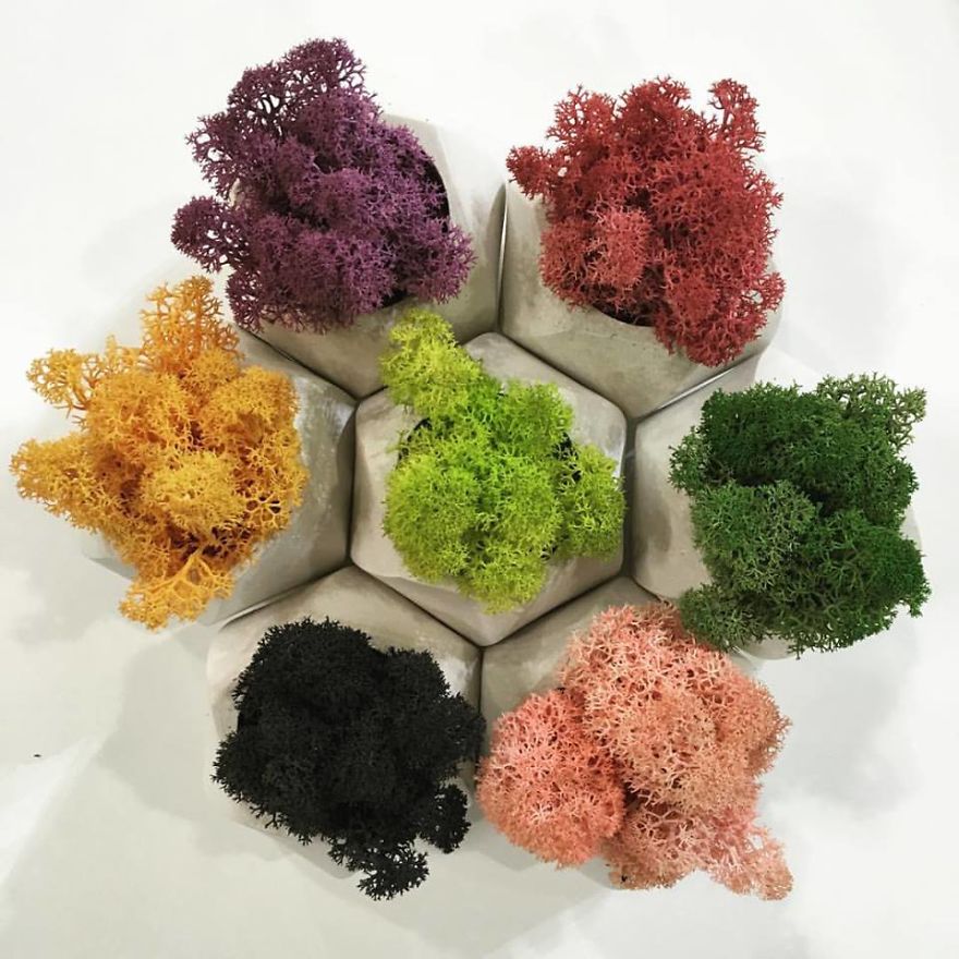 Ones With More Color