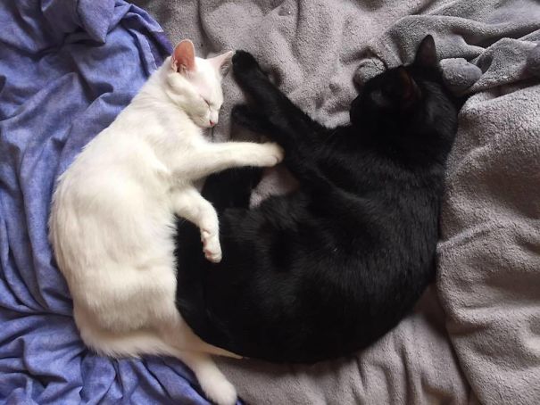 My Little Ripley Snuggling With My Boy Max For The First Time.