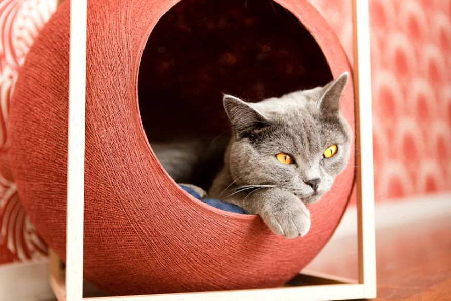 This Fall, Meyou Lets The Color In!