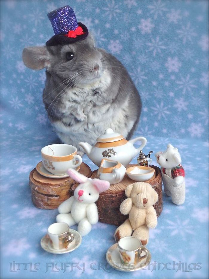 I Take My Tea With Vodka.