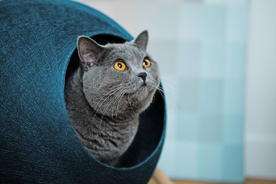 This Fall, Meyou Lets The Color In!