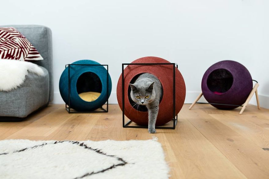 This Fall, Meyou Lets The Color In!