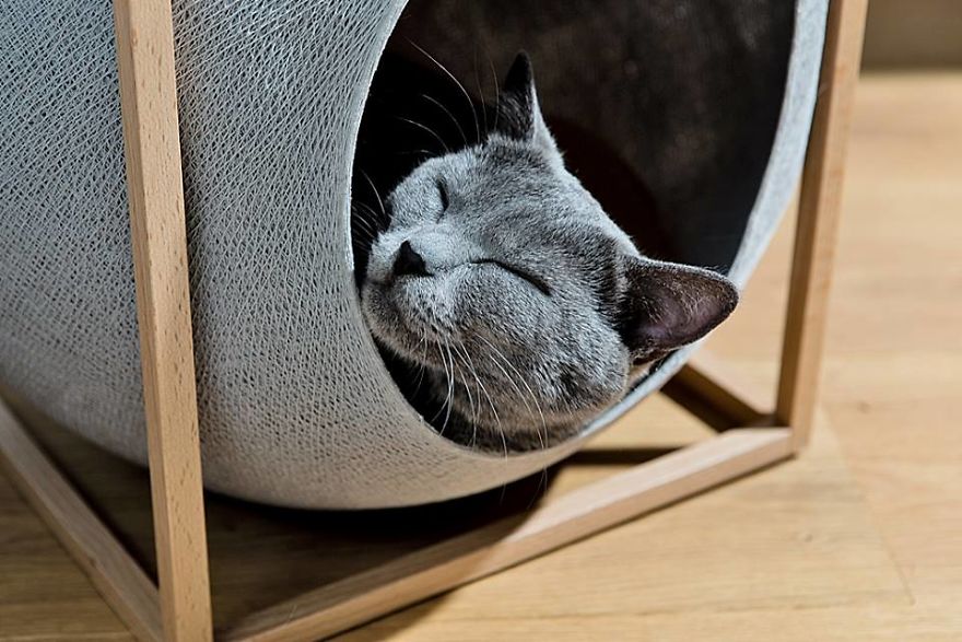 This Fall, Meyou Lets The Color In!