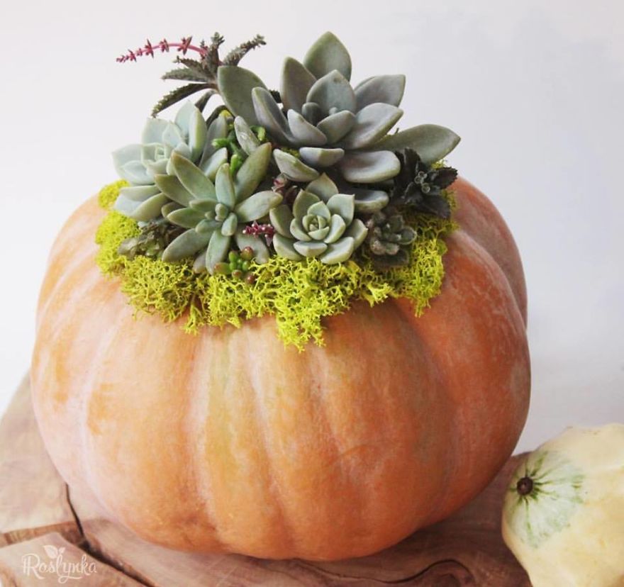 From Simple Organge Pumpkins