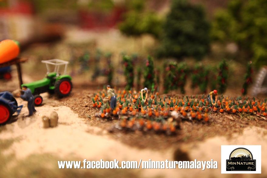 I Spent 3 Years Building This Miniature Wonderland.