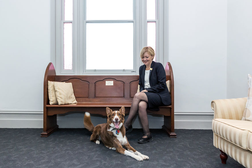 Anxious Dog Finds His Calling At A Funeral Home