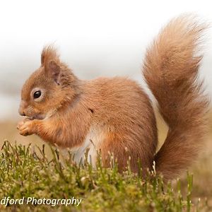 michel-m-prins avatar