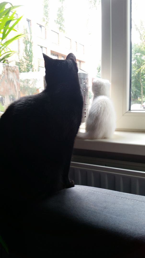 Siep & Saar From Holland