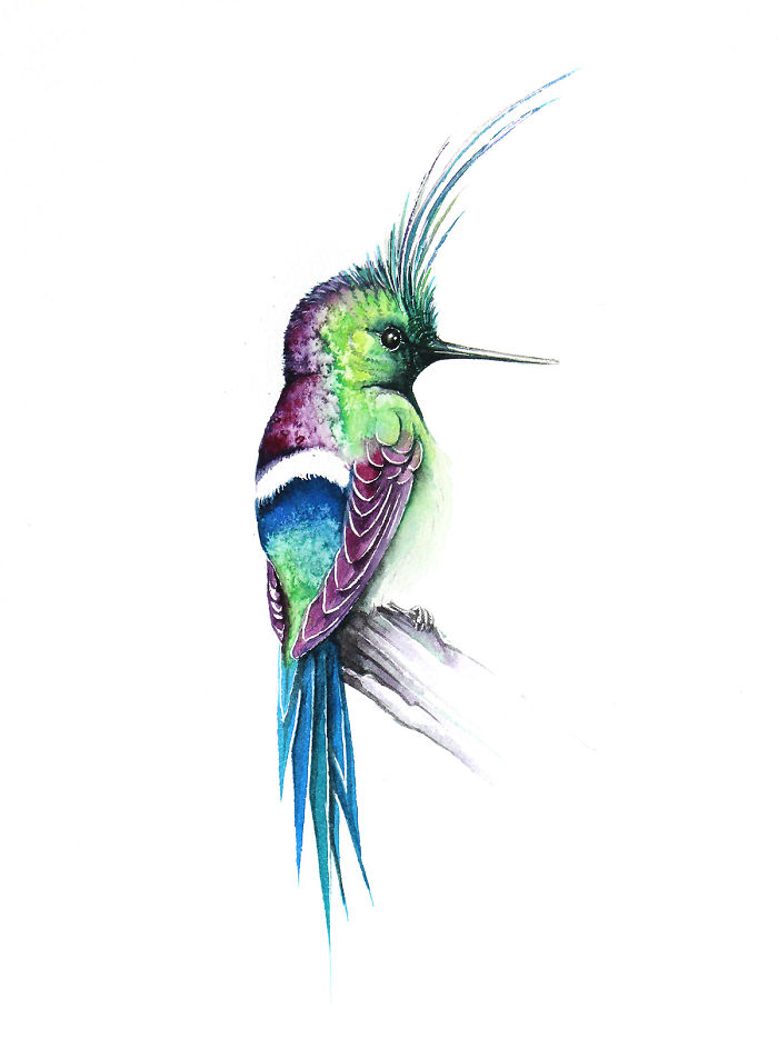 Hummingbird In Green