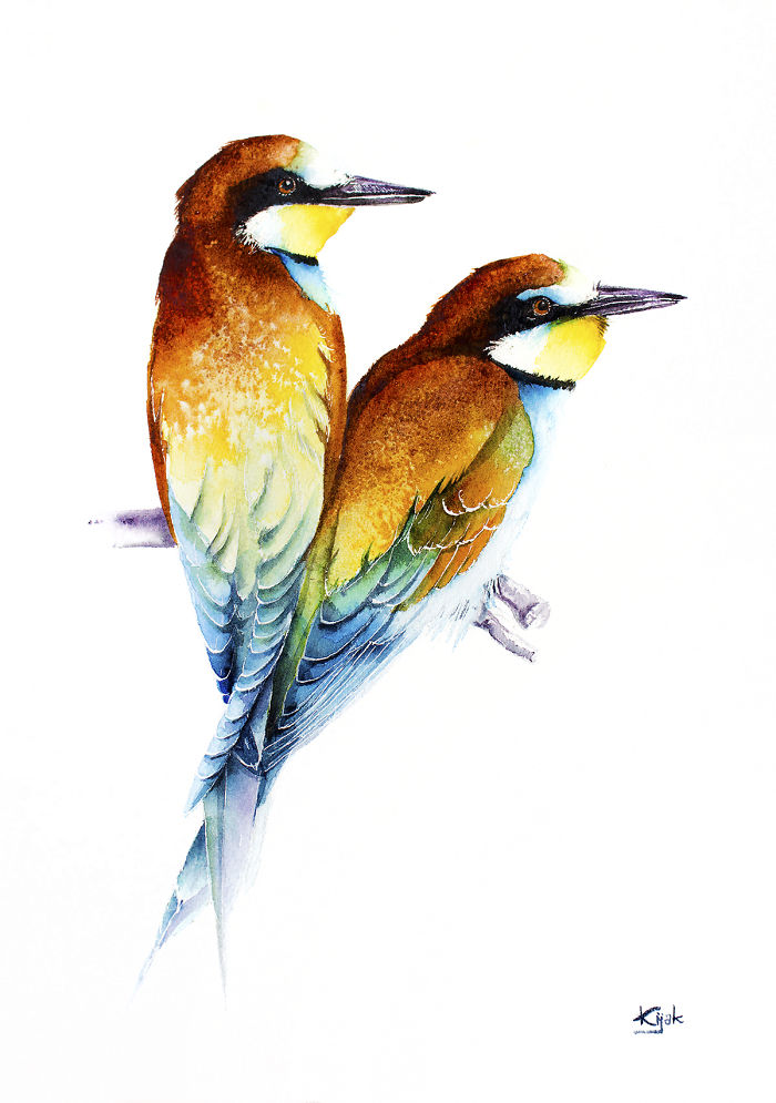 Bee-eaters