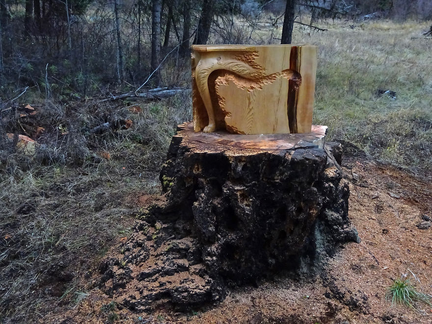 'Salvaged Wood' Returns To Where It Was Grown