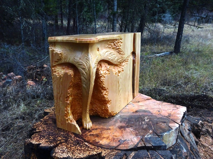 'Salvaged Wood' Returns To Where It Was Grown