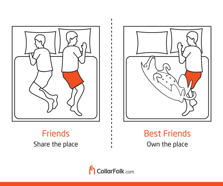 Every Friend Has A Special Place In Your Life!