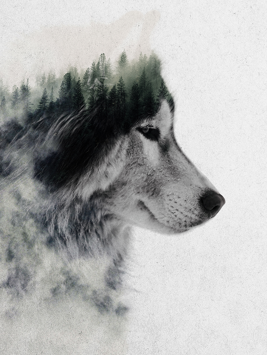 I Combine Animals And Landscapes In My Double Exposure Artwork