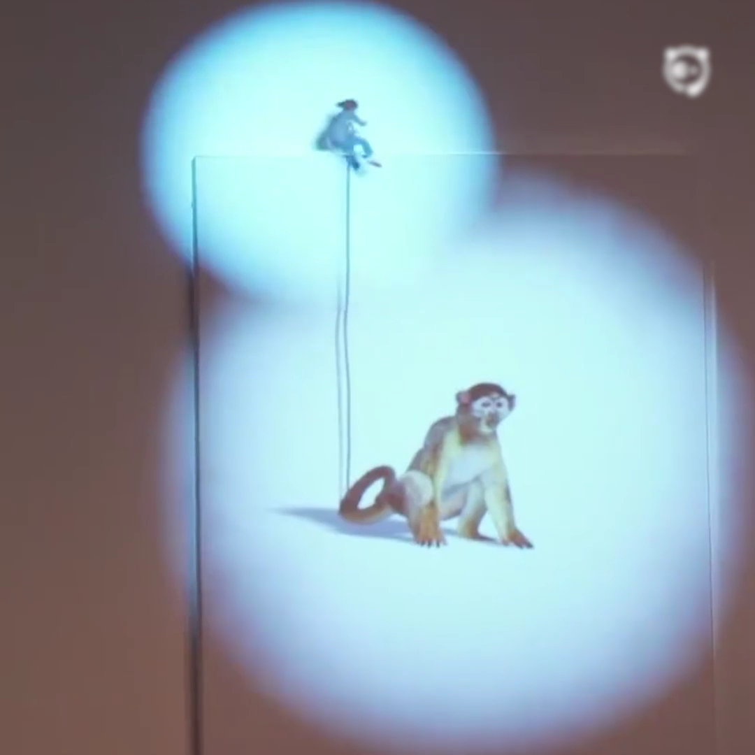 Gallery Pictures Come Alive