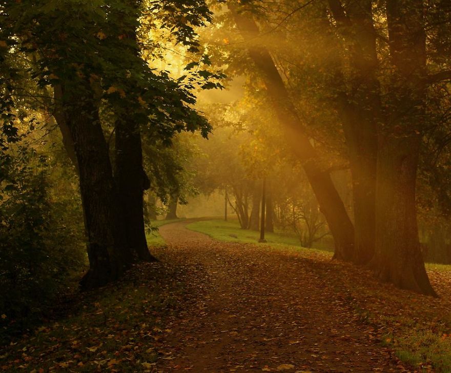 I Photographed Golden Autumn In Poland