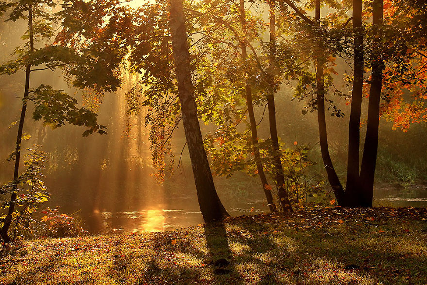 I Photographed Golden Autumn In Poland