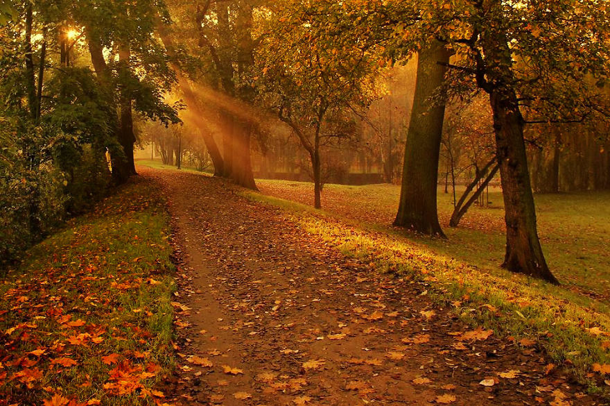 I Photographed Golden Autumn In Poland