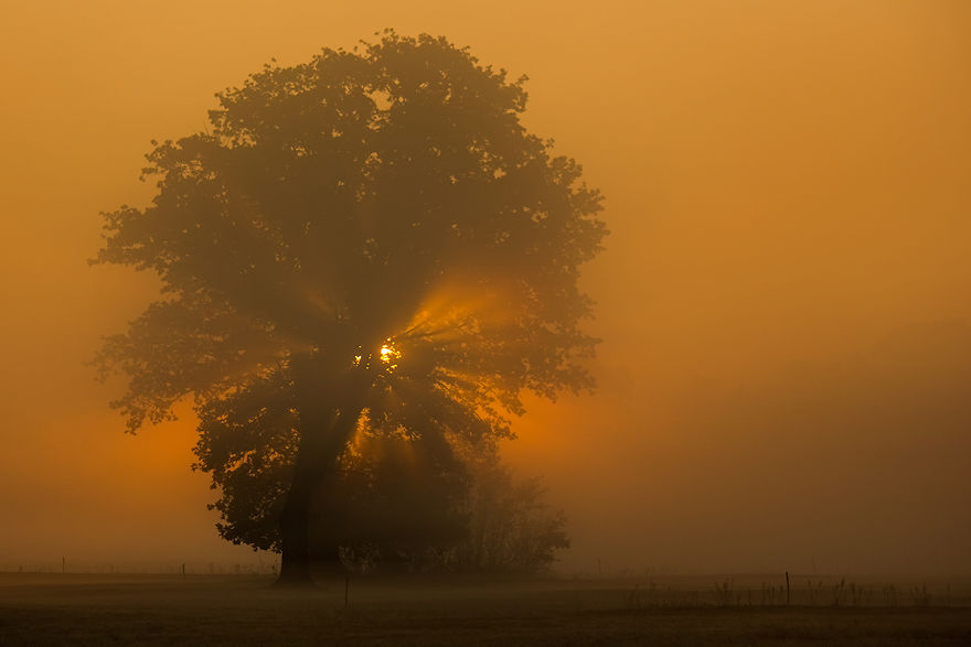 I Photographed Golden Autumn In Poland