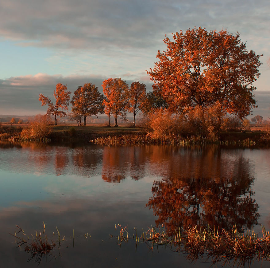 I Photographed Golden Autumn In Poland