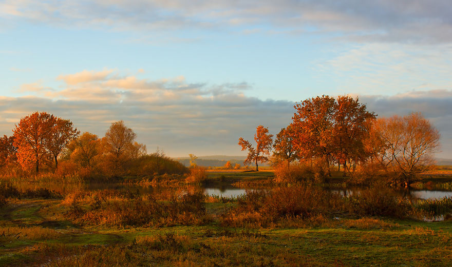 I Photographed Golden Autumn In Poland