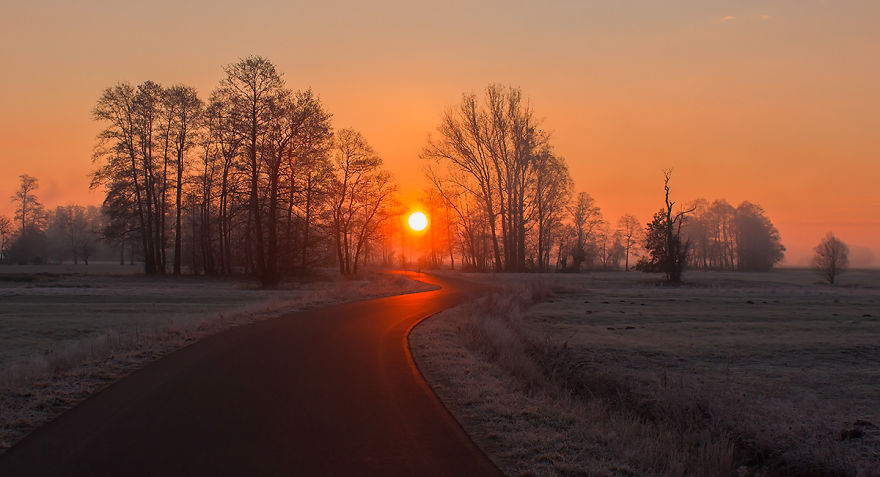 I Photographed Golden Autumn In Poland